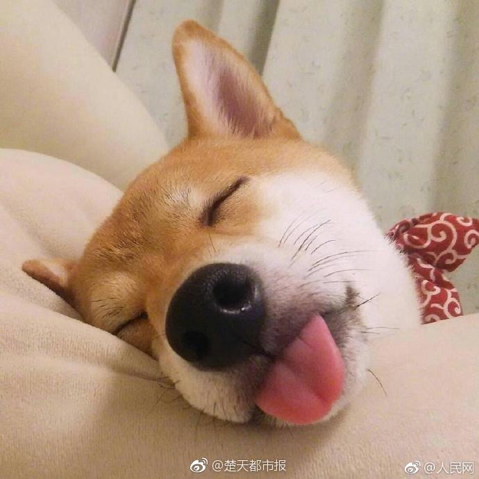 帳中嬌(重生) 卿隱
