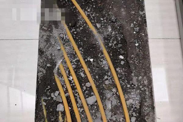 《燃盡春夜》by陳舟渡我[你好呀]