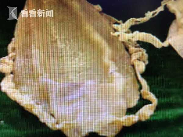 2v2(sc)交換高肉高干小說
