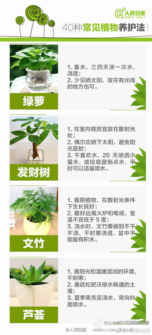 《狼夫姜可》小說