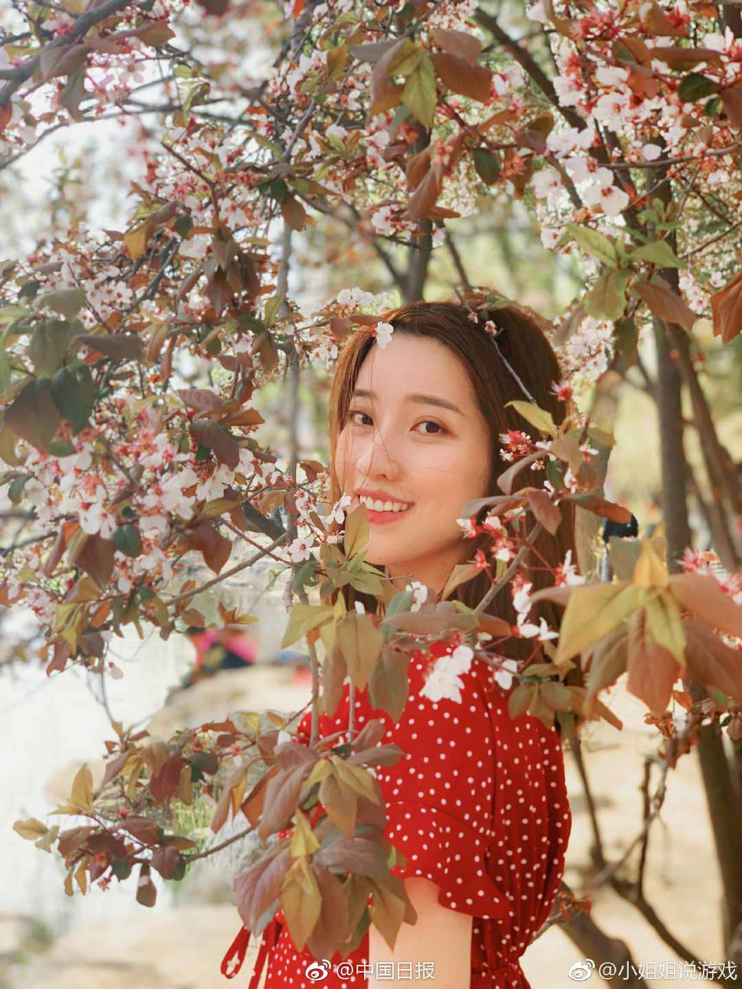 一個(gè)陌生女人的來信txt百度云資源