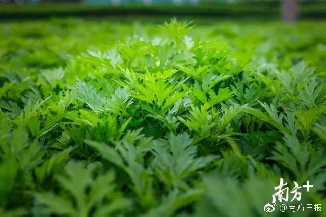 暗許by不靈塔小說(shuō)在線閱讀