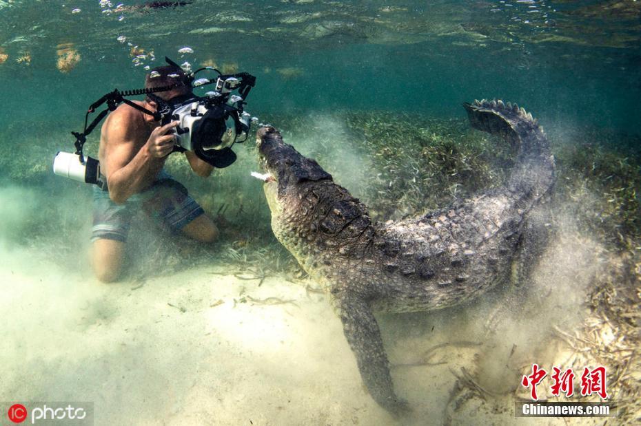 最罪愛by大包子 小說