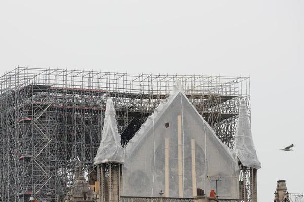 浴火勤勞的小貓txt