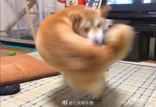政界1v1嬌妻電影