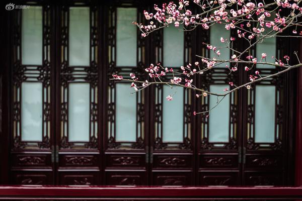 《熱情的鄰居》動漫續(xù)集免費(fèi)觀看
