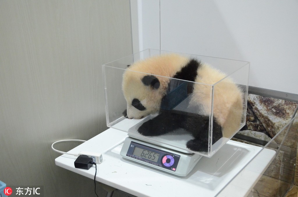 父子文筆趣閣小說