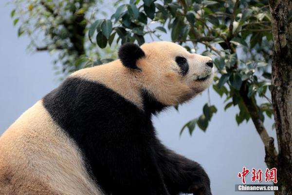 重生之庶子至尊txt