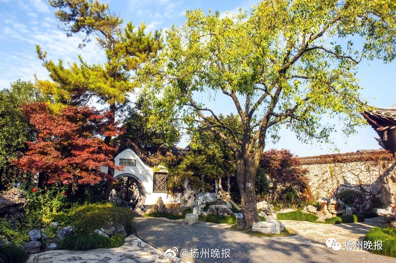 追悔莫及by余鼠鼠全文閱讀