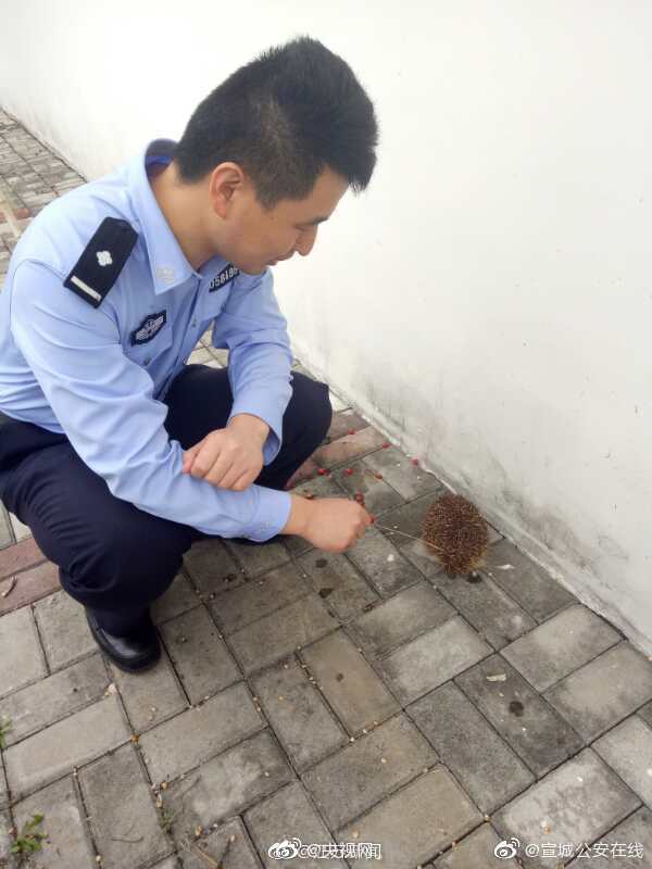 鍛仙txt下載