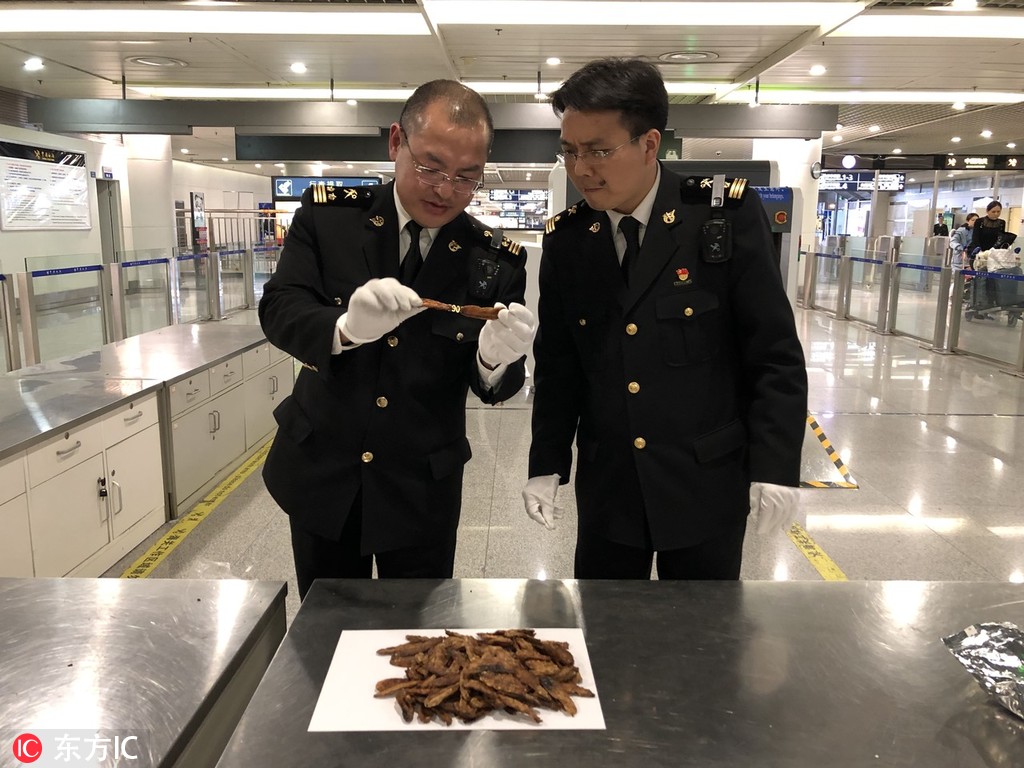 都市花叢錄TXT下載全本