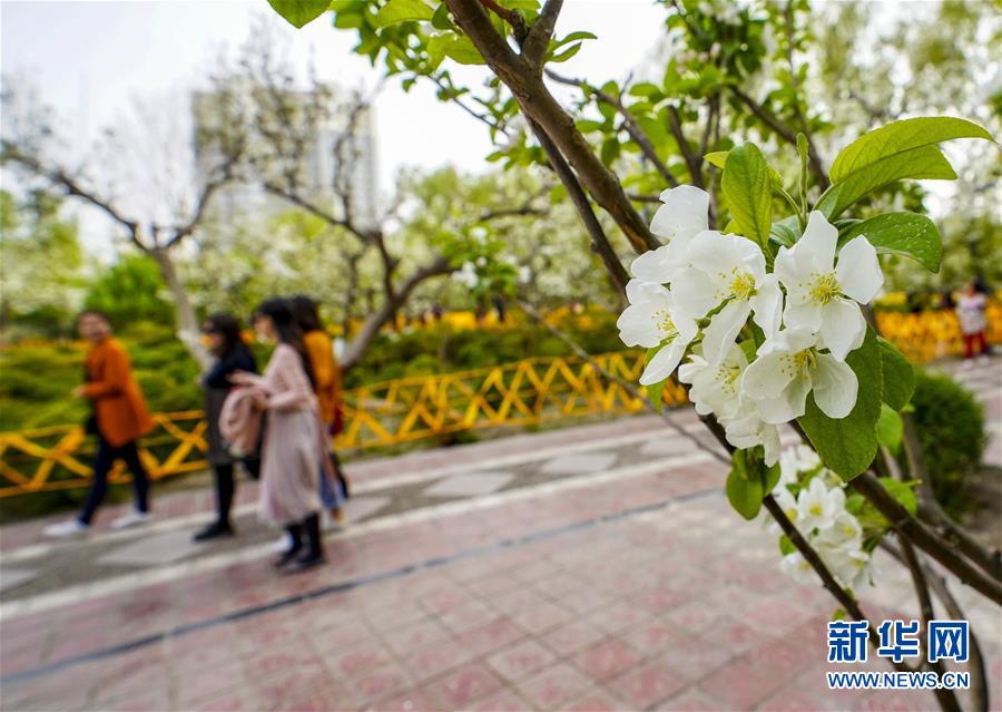 著迷by阿司匹林
