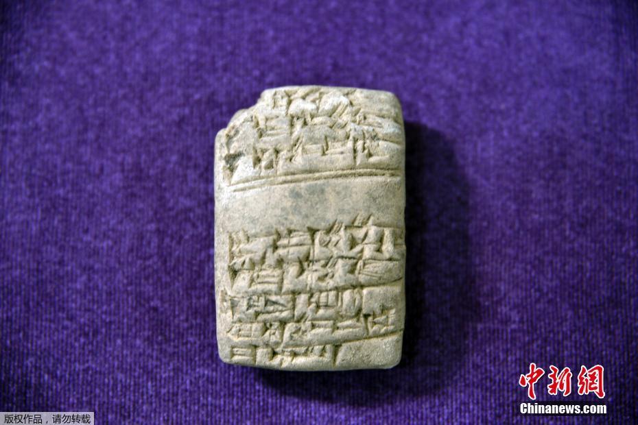 《鋒芒》by柴雞蛋簡介
