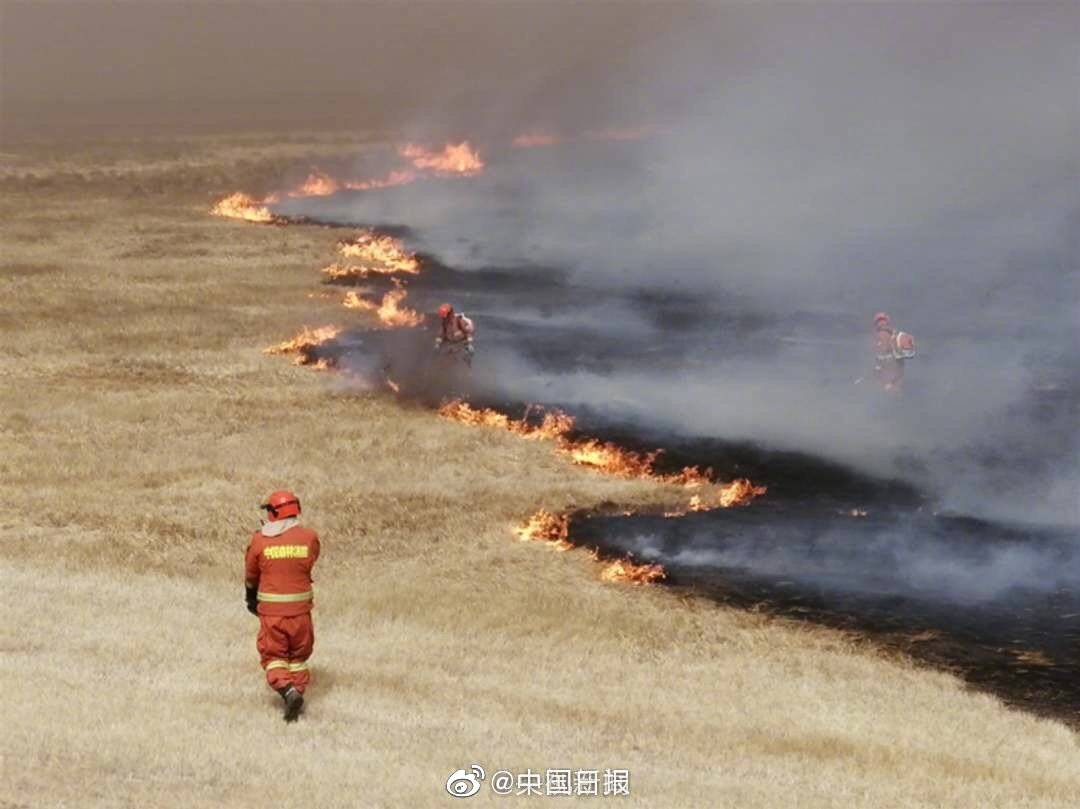 暗格里的秘密電視劇免費(fèi)觀看完整版