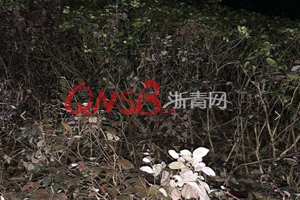 窗紙上的松痕1v1筆趣閣