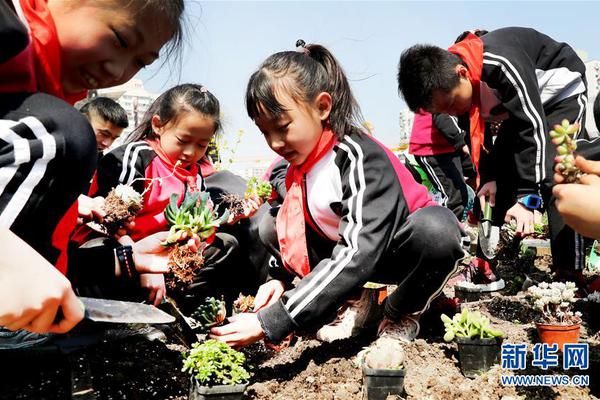 np海棠墻紙文