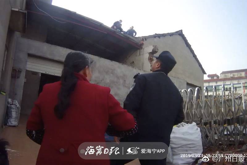 寵兒寵兒by瀟遙