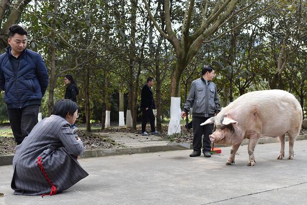 《何以為家》by栗子寬小說