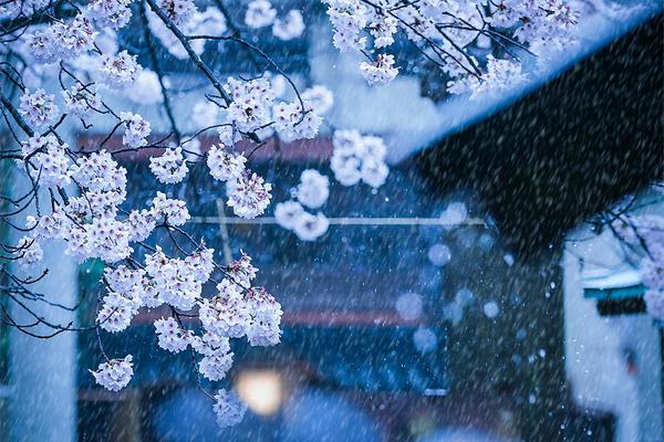 《終生囚禁》by阿阮有酒誰攻誰受
