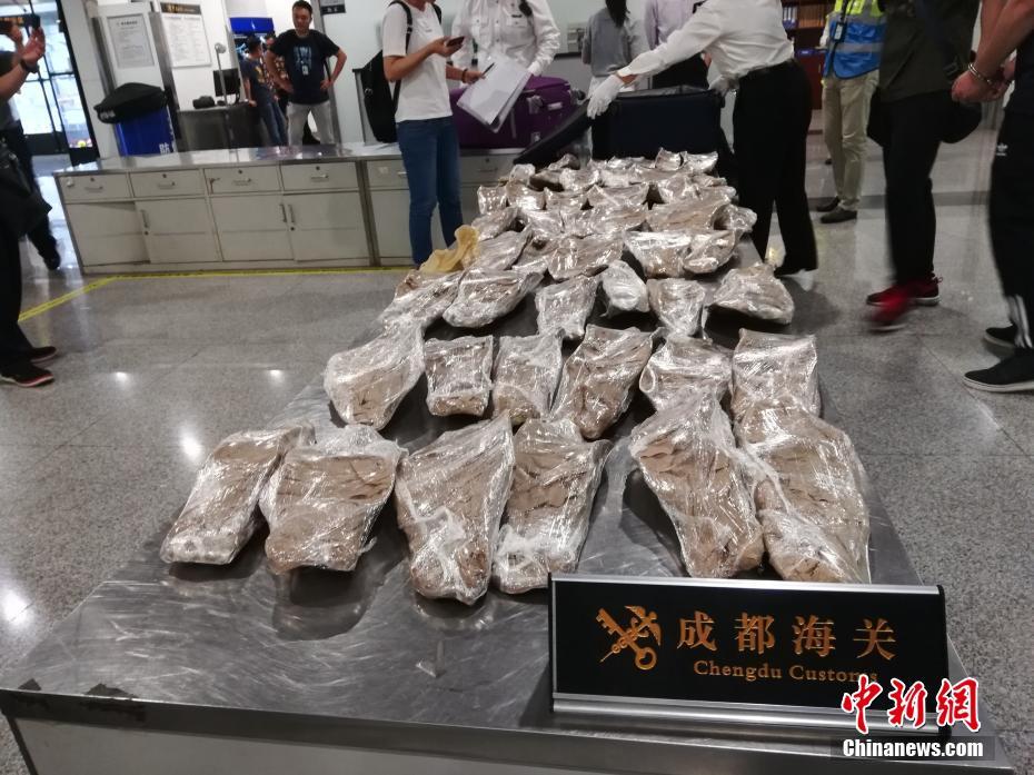 回音朝向txt百度云