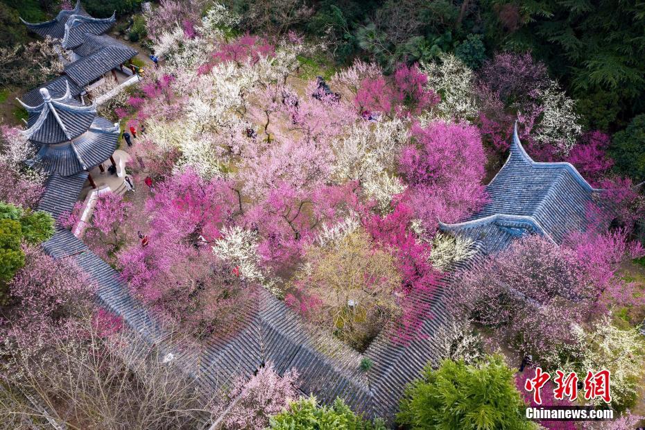 長(zhǎng)媳(重生)謝初云免費(fèi)閱讀